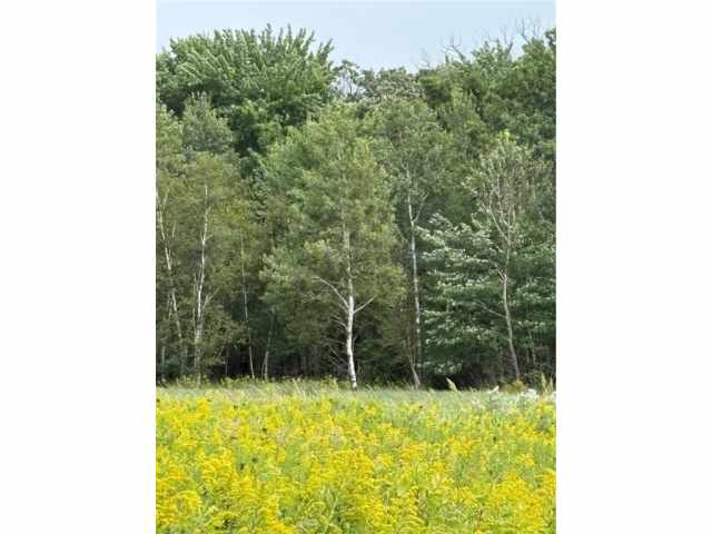 Chetek Land Real Estate