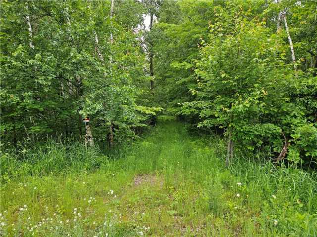 Chetek Land Real Estate