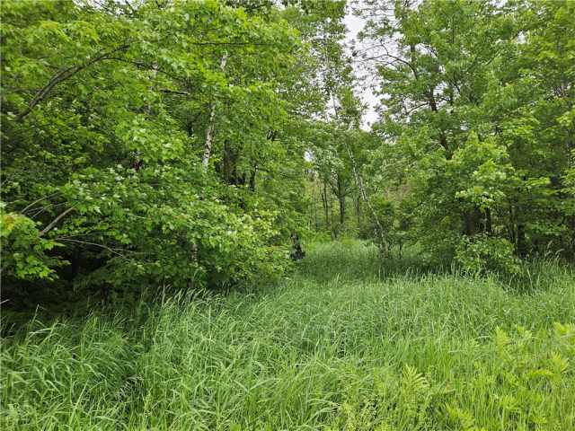 Chetek Land Real Estate