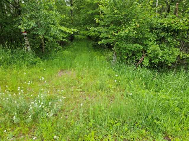 Chetek Land Real Estate