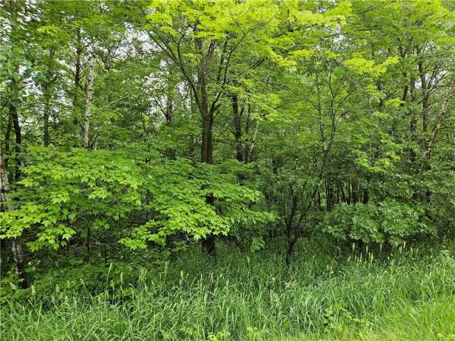 Chetek Land Real Estate