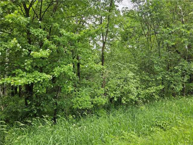 Chetek Land Real Estate