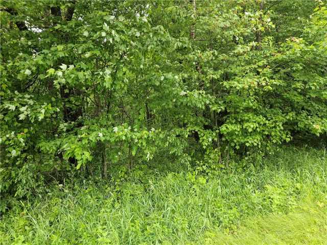 Chetek Land Real Estate