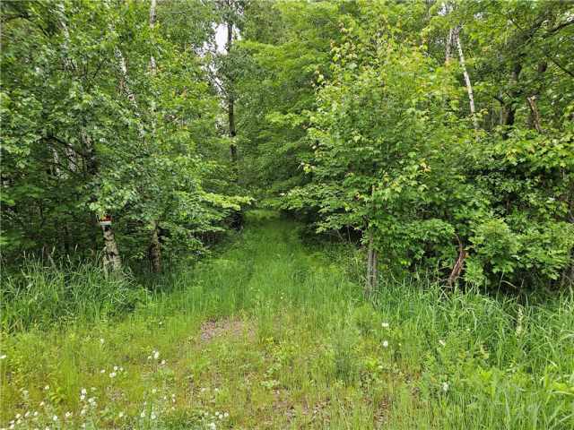 Chetek Land Real Estate