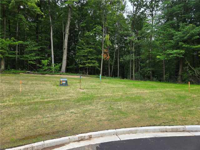 Boyceville Land Real Estate