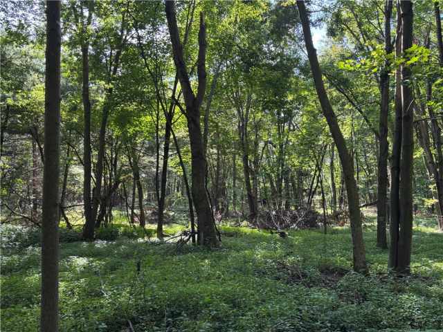Menomonie Land Real Estate
