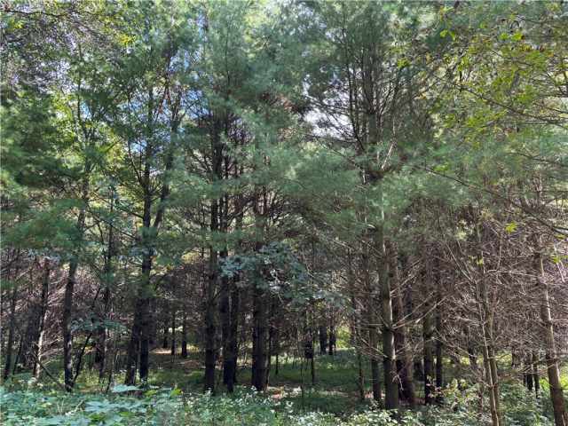Menomonie Land Real Estate