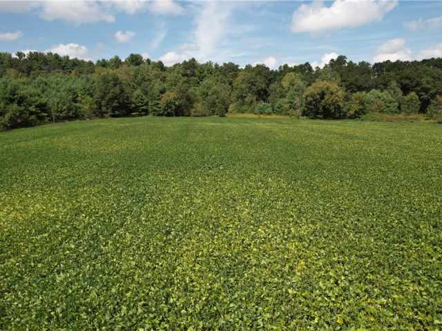 Menomonie Land Real Estate