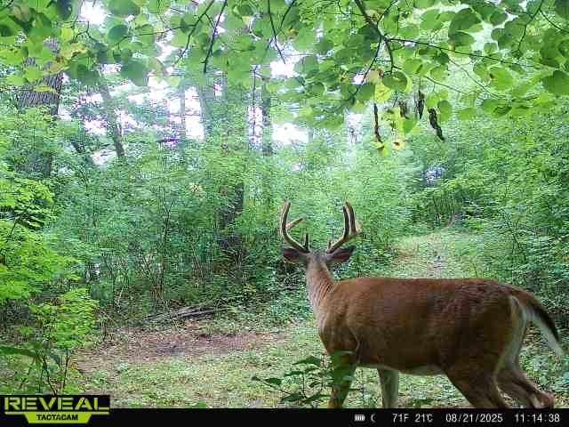 Eau Claire Residential Real Estate