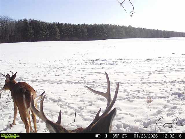 Wheeler Land Real Estate