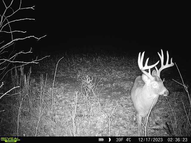 Wheeler Land Real Estate