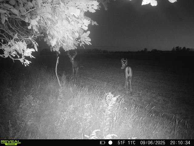 Wheeler Land Real Estate