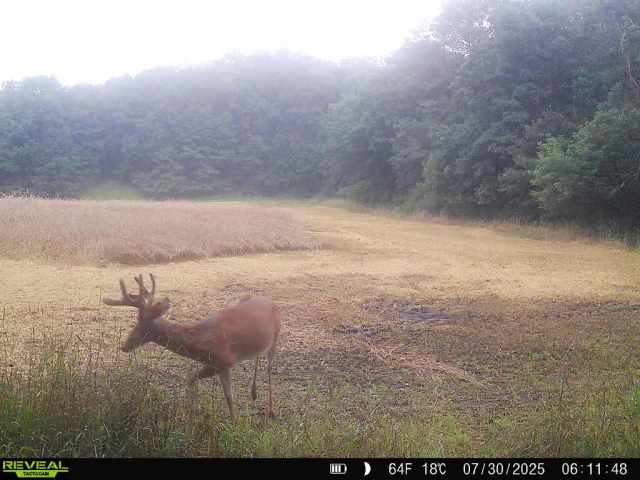 Wheeler Land Real Estate