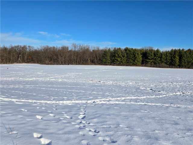 Wheeler Land Real Estate