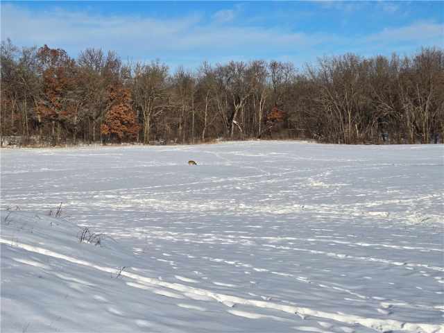 Wheeler Land Real Estate