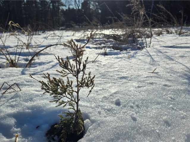 New Auburn Land Real Estate