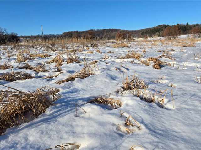 New Auburn Land Real Estate