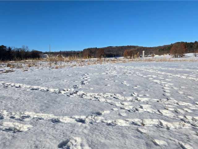 New Auburn Land Real Estate