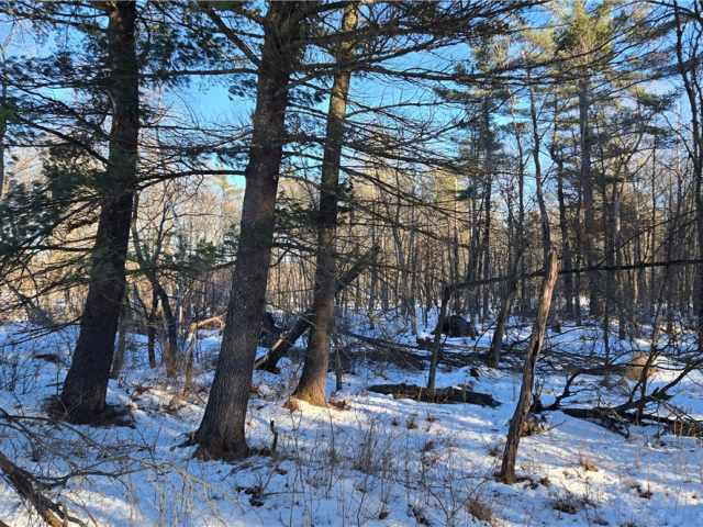 New Auburn Land Real Estate