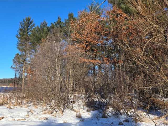 New Auburn Land Real Estate