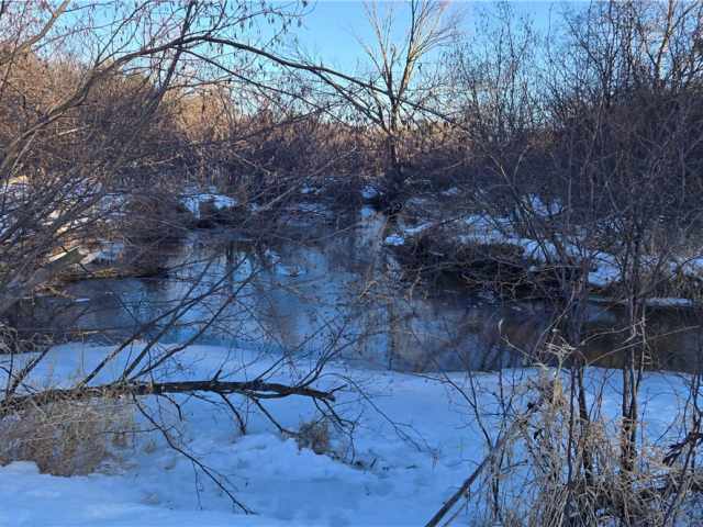 New Auburn Land Real Estate