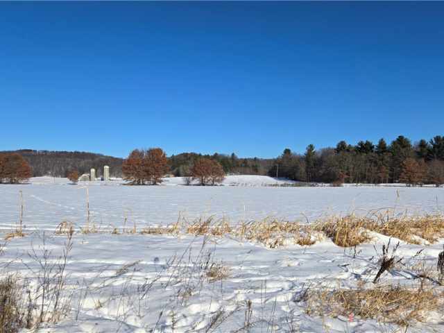 New Auburn Land Real Estate