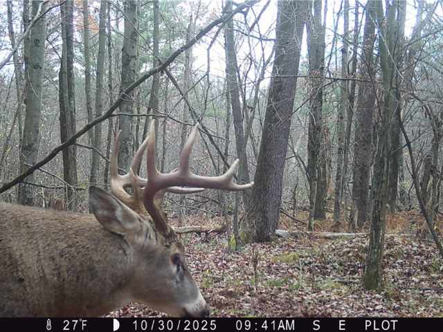 New Auburn Land Real Estate