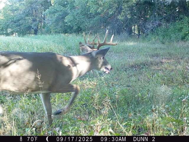 New Auburn Land Real Estate