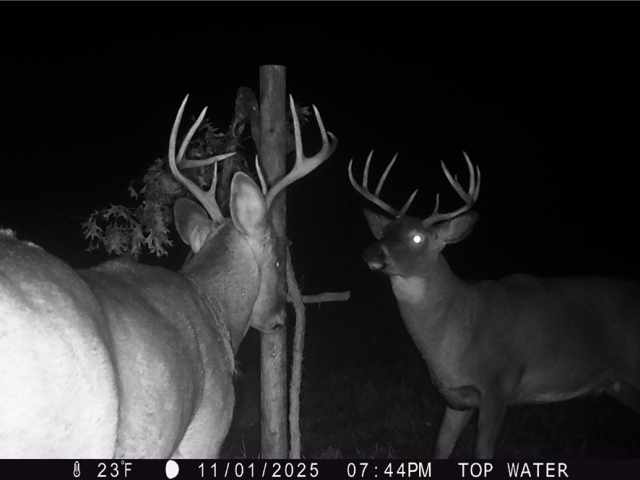 New Auburn Land Real Estate