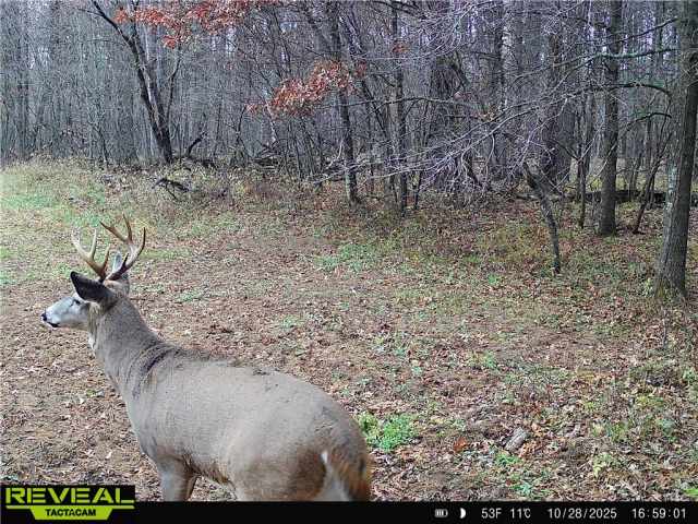 New Auburn Land Real Estate