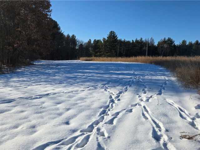 New Auburn Land Real Estate