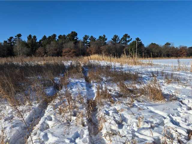 New Auburn Land Real Estate