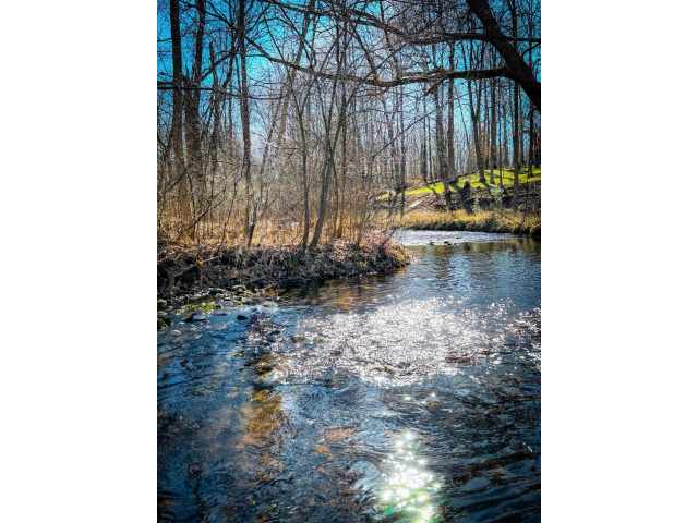Birchwood Residential Real Estate