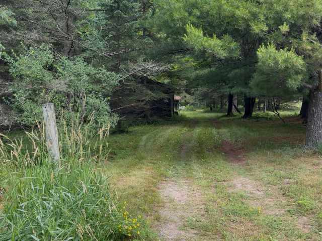 Thorp Residential Real Estate