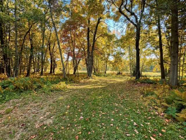 Holcombe Residential Real Estate