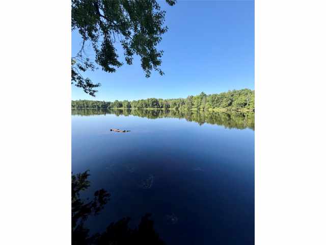 Ladysmith Residential Real Estate
