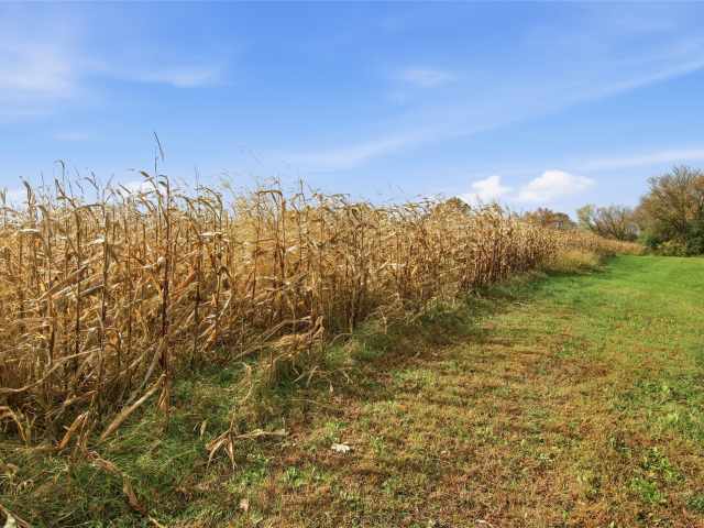Menomonie Land Real Estate