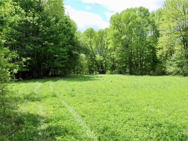 Knapp Land Real Estate
