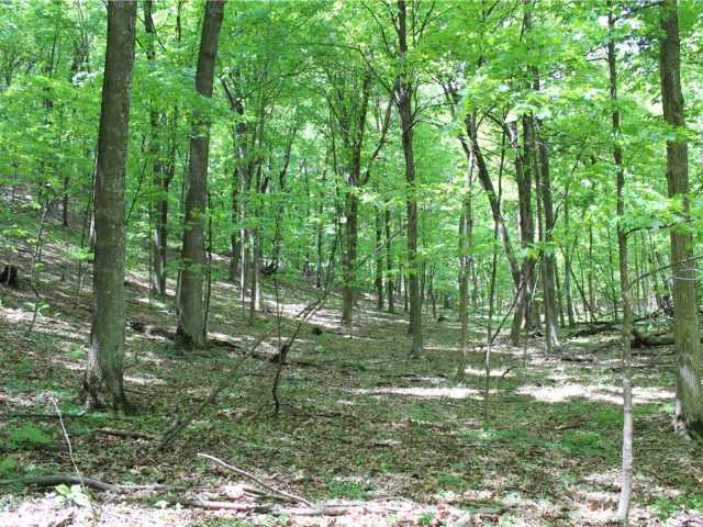 Knapp Land Real Estate