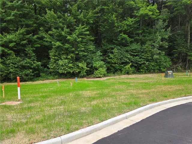 Boyceville Land Real Estate