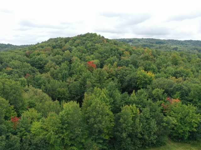 Ridgeland Land Real Estate