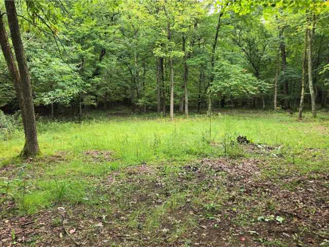 Ridgeland Land Real Estate