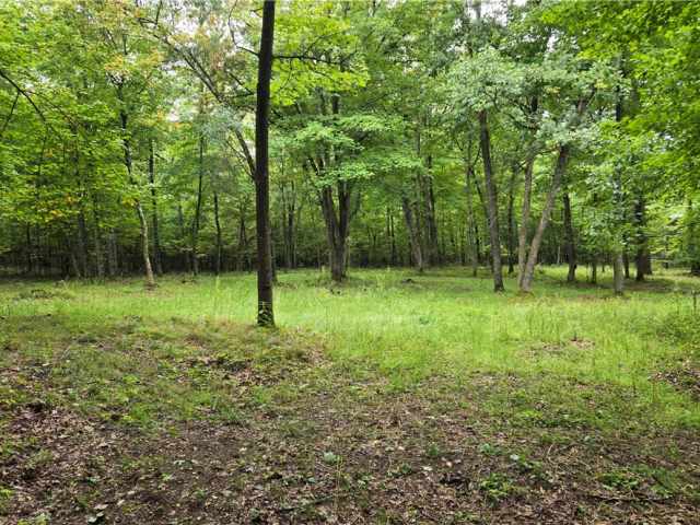 Ridgeland Land Real Estate