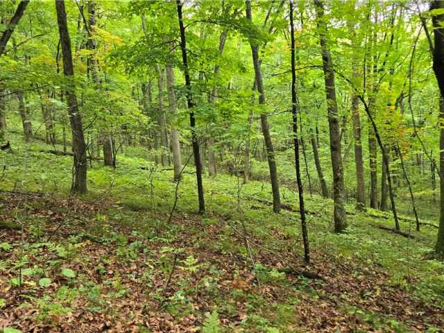 Ridgeland Land Real Estate