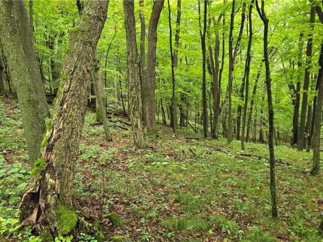 Ridgeland Land Real Estate