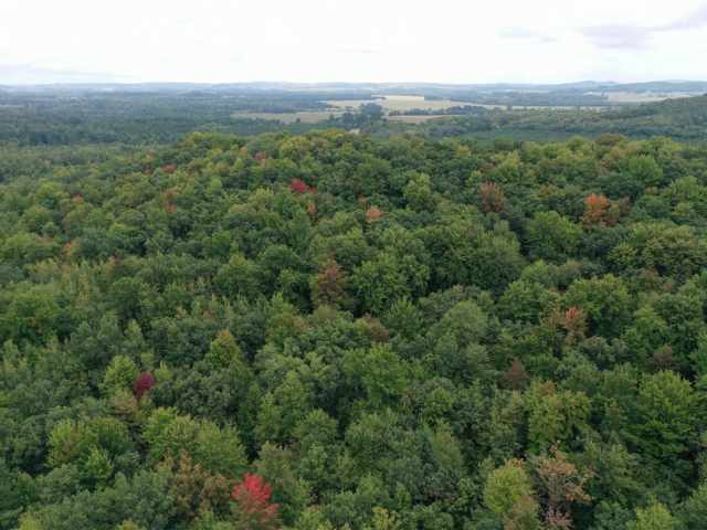 Ridgeland Land Real Estate