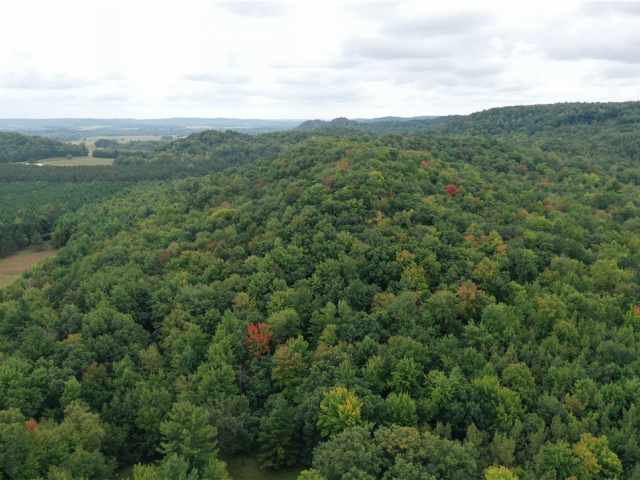 Ridgeland Land Real Estate