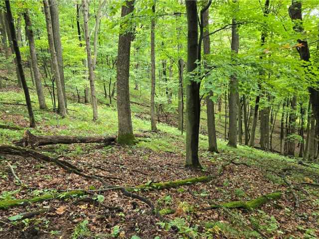 Ridgeland Land Real Estate