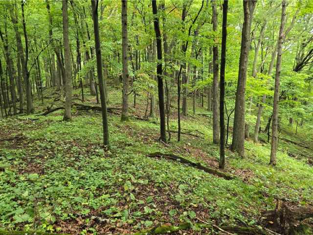 Ridgeland Land Real Estate