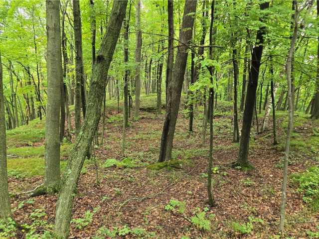 Ridgeland Land Real Estate